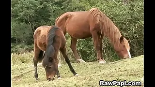 104 sexy porn videos